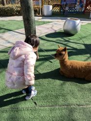 -萌宠亲子动物乐园(槐房万达店)