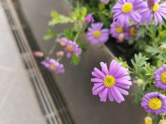 -方恒购物中心(望京小街店)