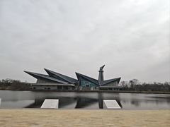 -盐城丹顶鹤湿地生态旅游区