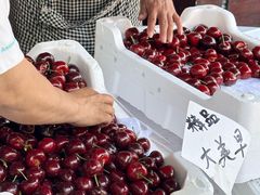 -大连双兴商品城