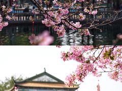 -宝墨园景区
