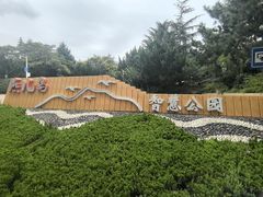 -燕儿岛山公园