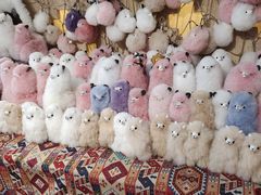 -新疆国际大巴扎