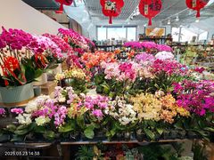 -香炉礁家具市场