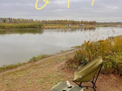 -春花秋色城市公园