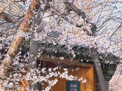 -三里河公园