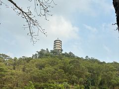 -深圳国际园林花卉博览园