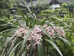 -成都杜甫草堂博物馆