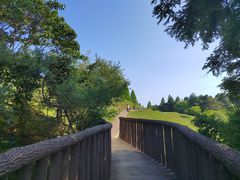 -神户市立六甲山牧场
