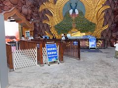 -西双版纳原始森林公园
