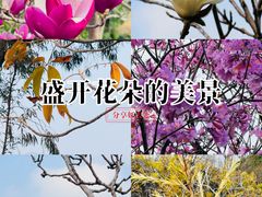 -东莞植物园