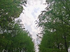 -天鹅湖体育公园