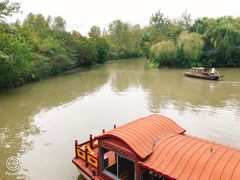 -溱湖国家湿地公园