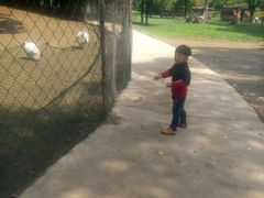 -祥源·阜阳生态乐园