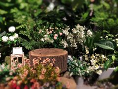 -Boboli Garden 波波里花园餐厅