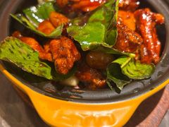 -前海沿·青岛菜(乐客城店)