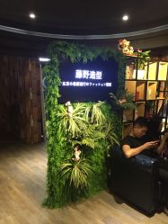 -藤野造型