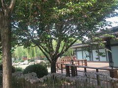 -唐城墙遗址公园