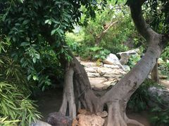 -南通洲际绿博园