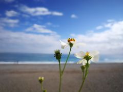 -七星潭蓝天广场