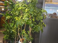 -西堤牛排(北京国瑞店)