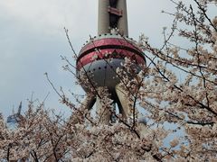 -东方明珠广播电视塔