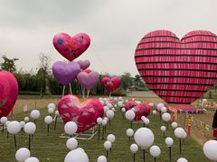 -眉山湿地公园(东坡区)