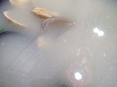 -台州老六海鲜面馆(上南总店)