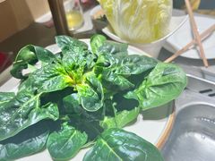 -海底捞火锅(奥森店)