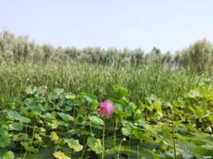 -顺鑫绿色度假村
