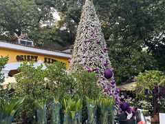 -火车头法国西餐厅