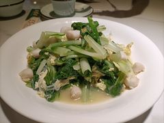-33号大院·青岛本帮菜(五四广场店)