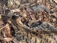 -大连森林动物园