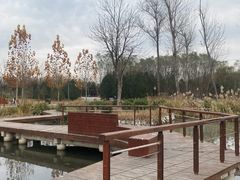 -东郊湿地公园