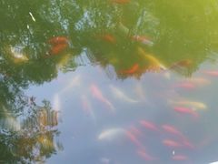 -威海天沐度假区温泉