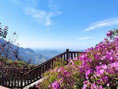 -广州市石门国家森林公园