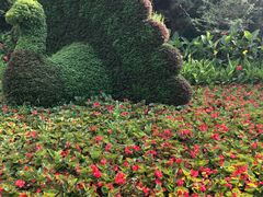 -长白岛森林公园