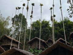 -海南槟榔谷黎苗文化旅游区