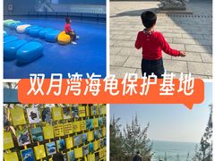 -广东惠东海龟国家级自然保护区