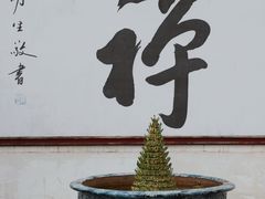 -光孝寺