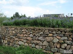 -紫海香堤香草艺术庄园