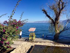 -大理无舍度假酒店