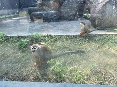-上方山森林动物世界