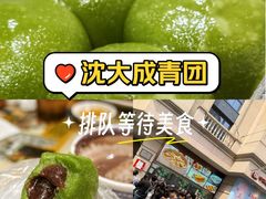 -沈大成(南京东路店)