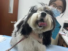 -美联众合动物医院·24h转诊中心