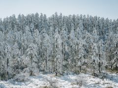 -瓦屋山景区