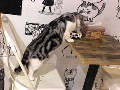 -小时光咖啡馆(开森度假森林店)