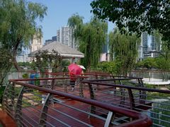 -西北湖绿化广场
