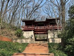 -紫霞湖公园