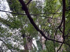 -海南热带野生动植物园